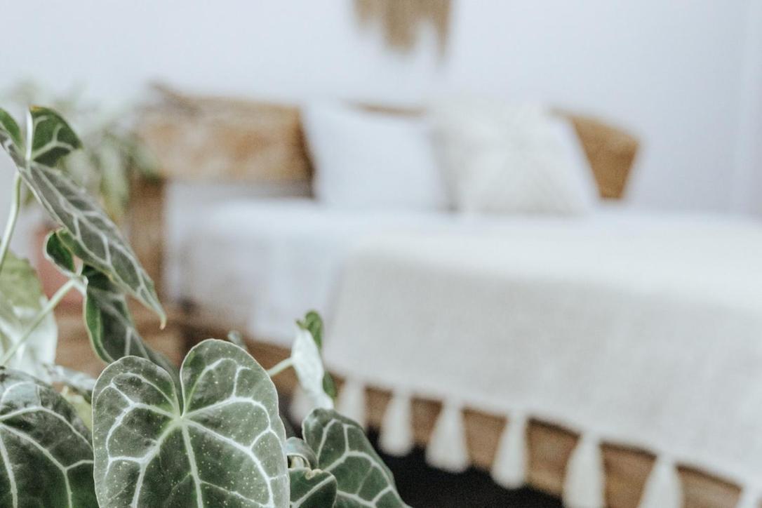 Surf & Yoga Bali Bed & Breakfast Dalung  Exterior photo